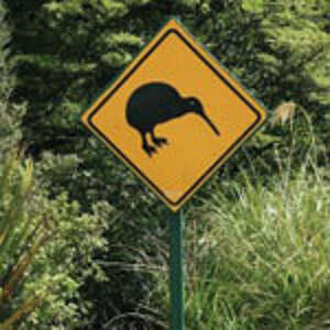 Straßenschild in Neuseeland Straßenschild Kiwivogel Neuseeland