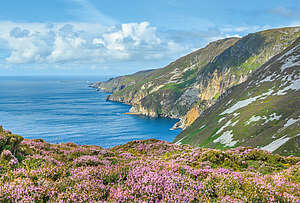 Küste Bucht Meer Blumenfeld Ulster Irland