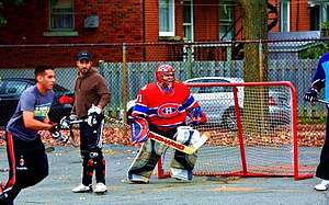 Eishockey Kanada Freizeit Sprachreise Montreal