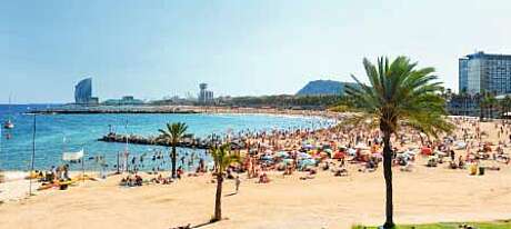 Strand Barcelona Spanien Meer Palmen