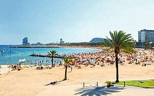 Der Strand von Barcelona Strand Barcelona Spanien Meer Palmen