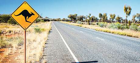 Straße Australien Straßenschild Kangaroo