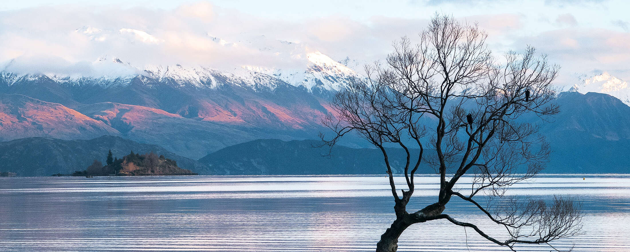 See Baum Berge Schnee Wanaka Neuseeland