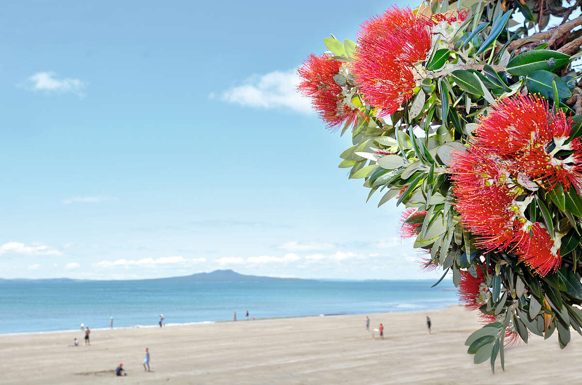 Weihnachten weltweit Australien und Neuseeland