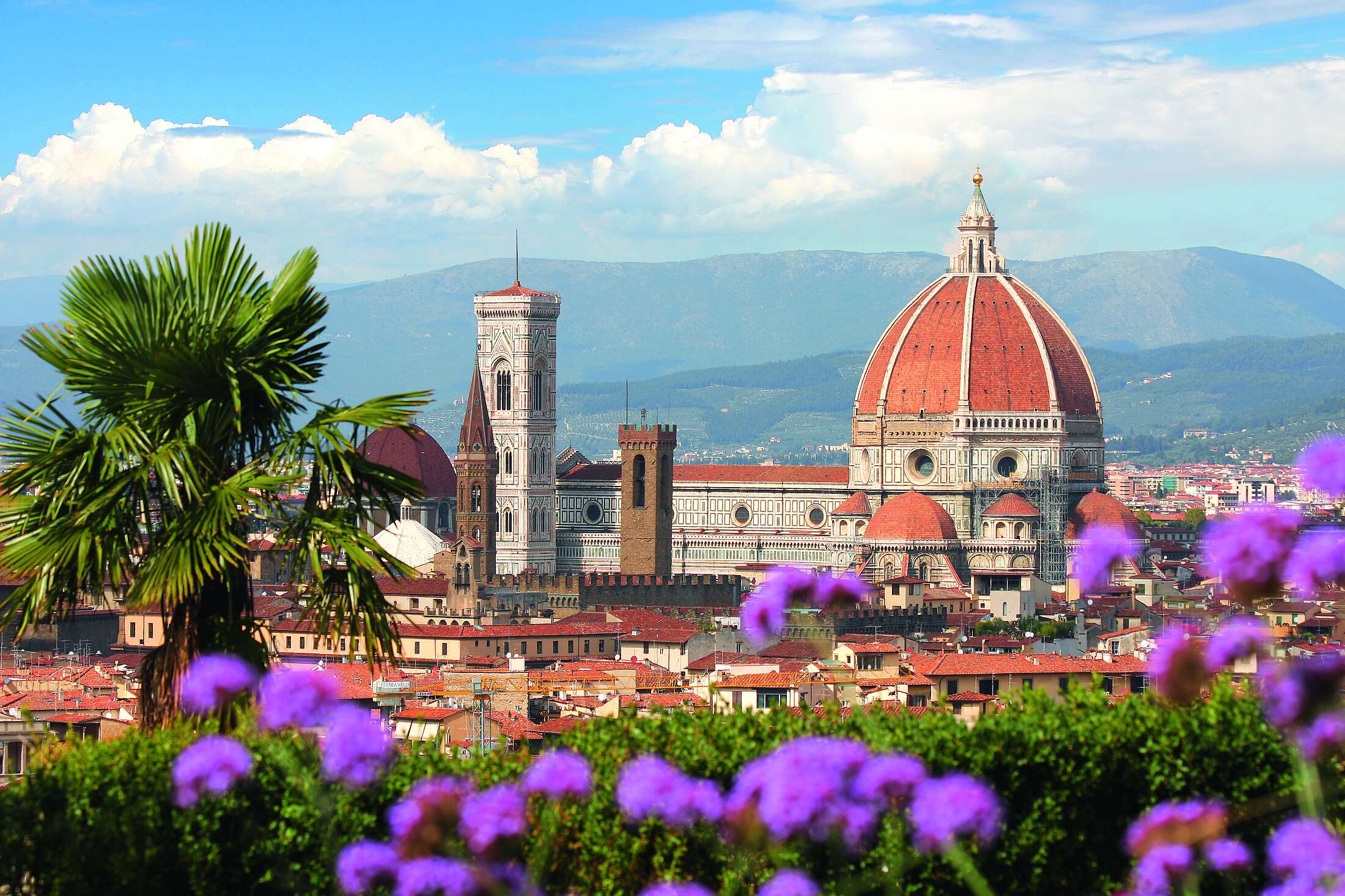 Mach ein Gap Year in Florenz mit iSt Sprachreisen 