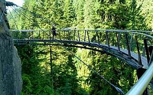Capilano Cliff walk in Vancouver Klippen Höhe Vancouver Kanada Abenteuer Sprachreise