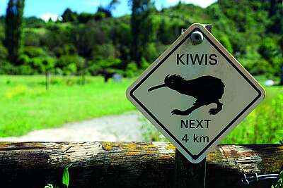 Lerne über die Tiere in Neuseeland mit dem iSt Reiseführer 