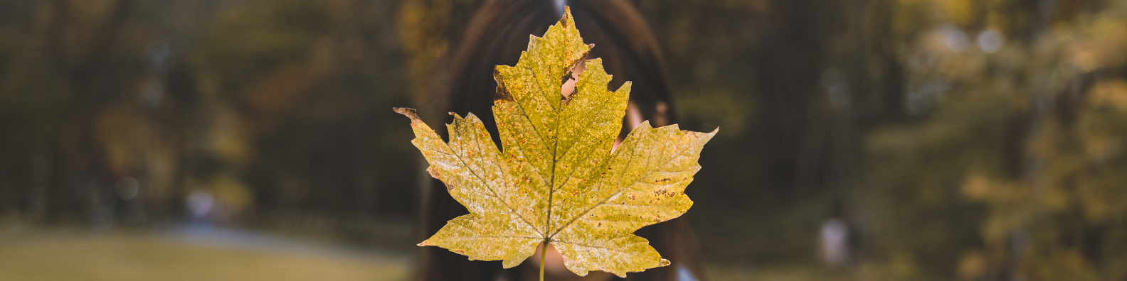 girl holding a maple leaf 