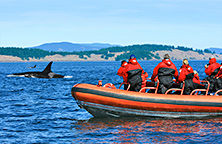 Vancouver Island - British Columbia Vancouver Island - British Columbia