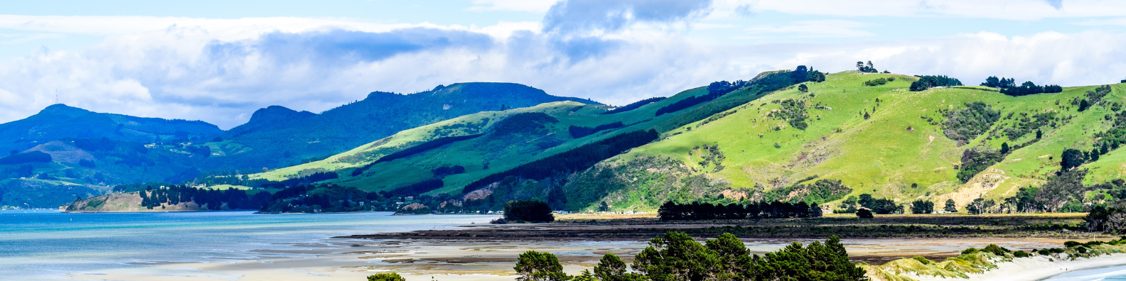 Mach einen High School Aufenthalt in Dunedin mit iSt Sprachreisen 