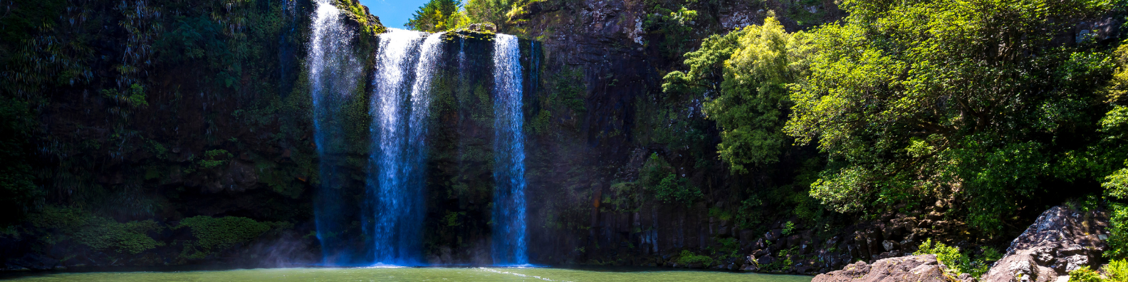 High School Austasuch machen mit iSt in Whangarei, Neuseeland 