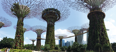 Singapur