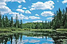 Lakelands