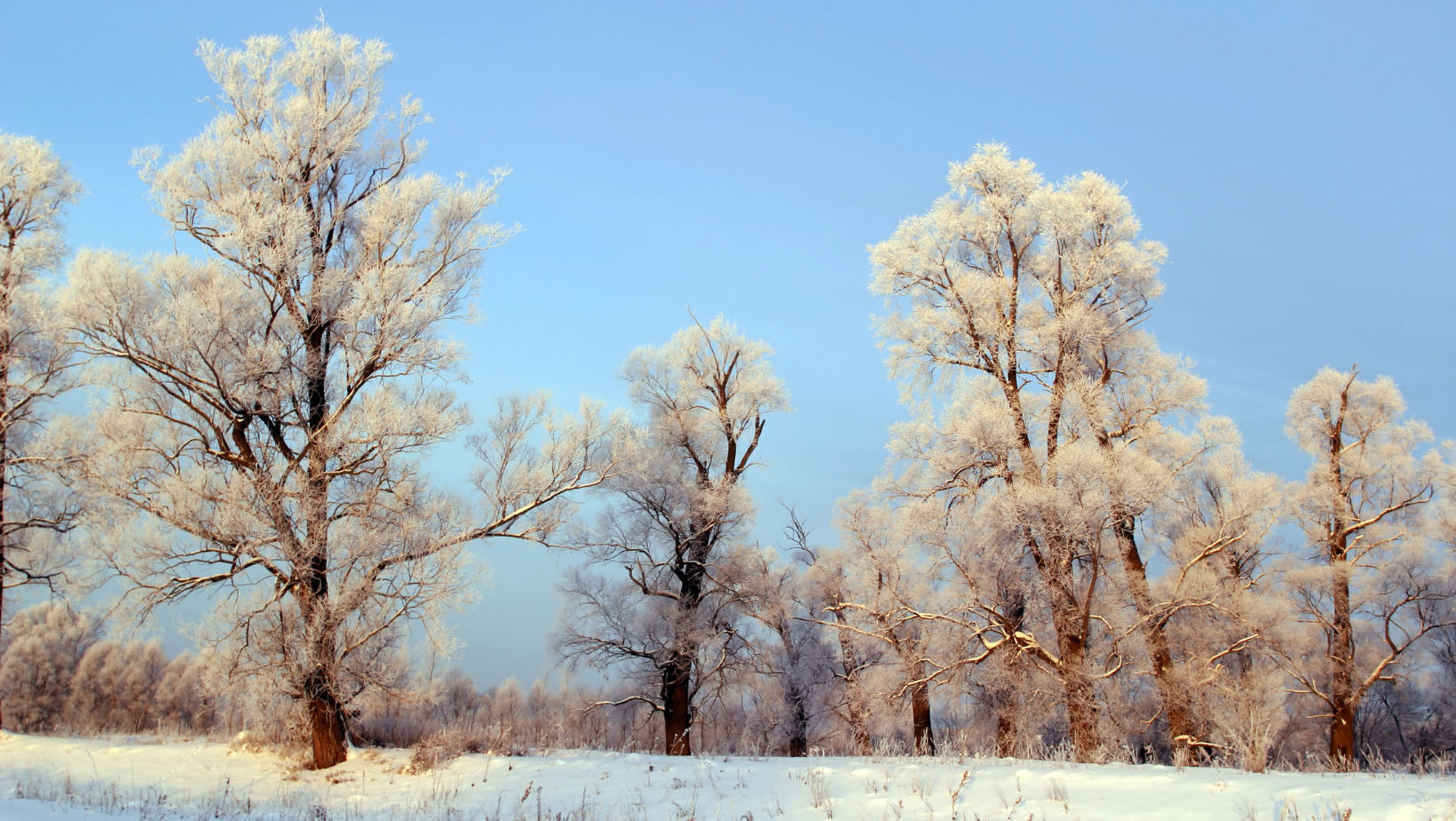 Das Klima in Russland 