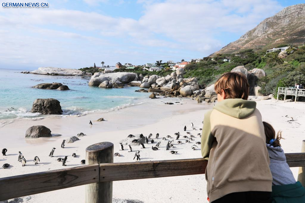 Sprachurlaub in Kapstadt, Südafrika machen mit iSt Sprachreisen 