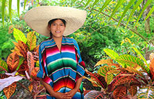 Mexikanische Traditionen und Mentalität Mexikanische Traditionen und Mentalität