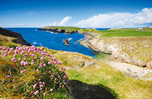 Schüleraustausch Irland Schüleraustausch Irland