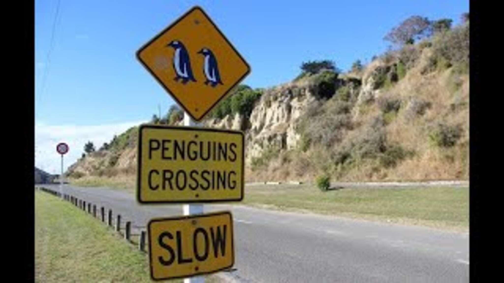 High School Neuseeland - Lea's Abenteur am anderen Ende der Welt