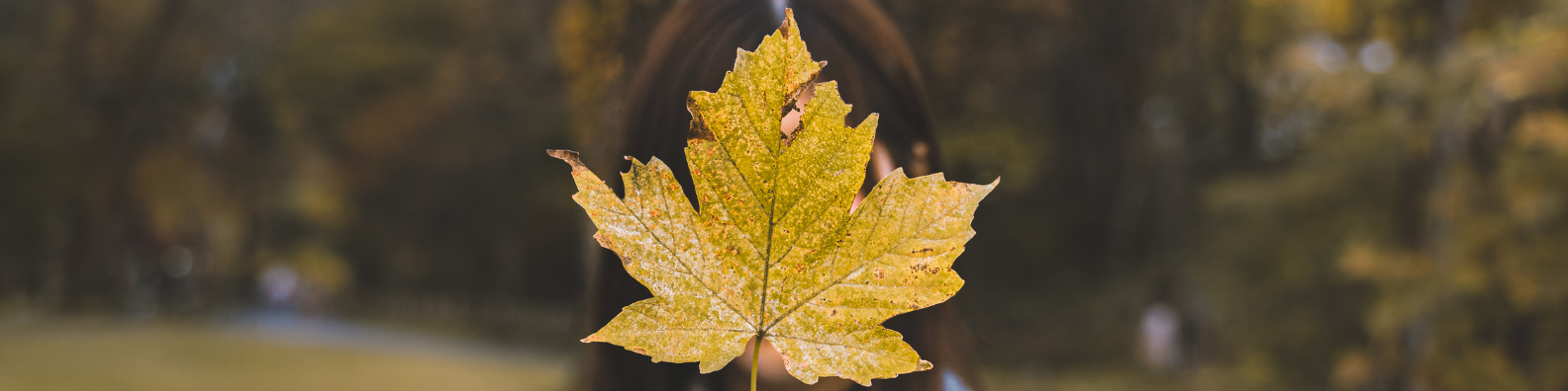 girl holding a maple leaf